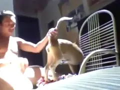 Blowjob animal xxx
