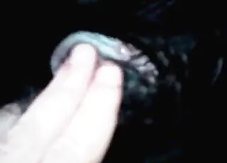 Tight Dog Hole Gets Fucked Big Time in HD