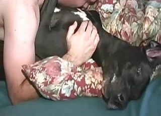 Dark Dog Gets Hard Anal Sex From Zoophile