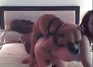 Teen Brunette Fingering and Fucking with Dogs HD Clip