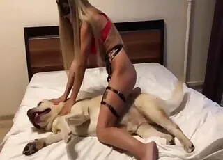 Irresistible Hound animal sex Bang with Zoophile