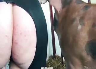 Big fat pig gets her tight cunt fucked close to camera