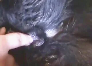Pet wet cunt fingered in hd video clip animal sex zoo tube