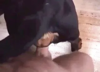 Fat Dude Screws Tight Zoophile Hole in Zoo