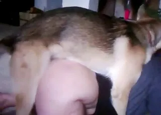Beautiful German Shepherd Girl Gets Pounded Hard by Stud in Zoo Sex HD