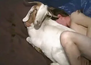 Dazzling White Goat Sex Bed Penetrating Clip