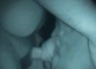Good-Looking Amateurs Enjoy Zoophilic Action in HD