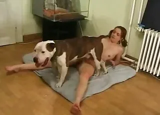 Stylish Darling Opens Her Cunt For A Terrible Puppy
