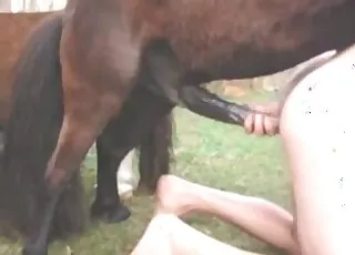 Hot Anal Doggystyle Horse Sex: Real Zoo Animal Fucking Clip in HD