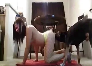 Green fishnets woman getting fucked by a dog