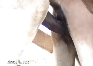 Hot Zoo Porno Featuring Disgusting Worms