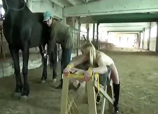 Big Stallion Penis Featured in Hot Animal Sex Clip
