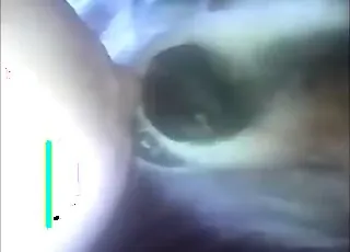 Hot Lady Performs Oral Sex On Beast In XXX Zoo Clip