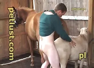Hot Lady Enjoying Pleasure With A Horse In The Stall
