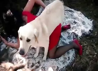 Hungry Beast Drills Wet Cunt in Brutal Zoo Sex Clip