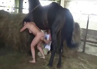 Brunette enjoys massive horse penis in juicy zoo sex scene