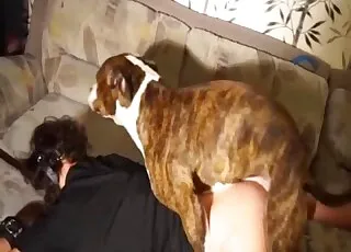 Twisted babe gets dirty dog fucked in HQ quality