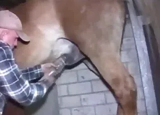Farmer Takes Time To Fuck A Sexy Creature On The Farm