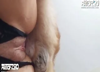 Black Panties Woman Enjoys Doggystyle Sex with Dog