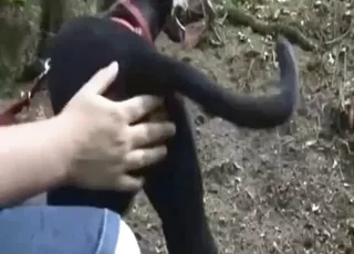 Black Beast Gets Hard Fingered During Walk Home