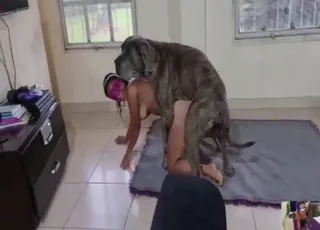 Kinky Zoophile Girl Gets Fucked By Dark Dog In Zoo Sex Clip