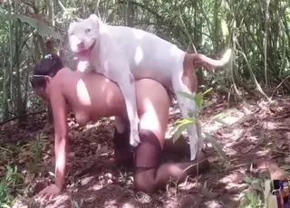 Horny Zoo Whores XXX Clip: animal sex with Animals in HD Zoo Tube Clips