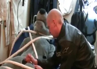 Man Gets Bondage Zoo Sex Experience With Male Dog