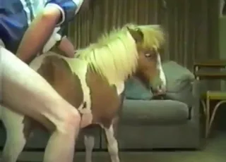 Gutsy Stallion Fucked Hard in This Intense Horse Sex Scene