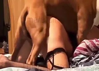 Happy Brunette Squirting After Dog Fuck in HD Zoo Sex Clip