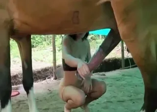 Horse Gape: Possessed by Lust for Big Dicks