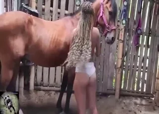 Huge horse balls in ass animal sex clip