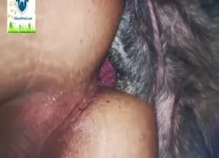 Hot Ass Doggy Style Fuck With Real Orgasms
