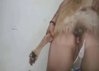 Horny Zoophile Girl Gets Railed by a Lusty Mutt