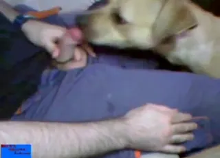 Guy Fucks Sexy Zoo Animal in Intimate Scene