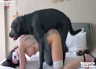 Bootylitious Brunette Takes a Dog's Hard Cock in HD