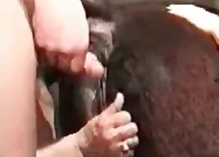 Farm Guy Loves Fucking Farm Animals: Hot Zoo Sex with Cows, Horses, and Pigs in HD