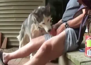 Husky Girl Licking Cum with Nice Tongue HD