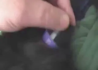 Sexy animal gets a badass vibrator fuck in close up zoo sex scene