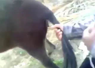 Crazy Horny Dude Gets Wild With That Donkey Cunt in HD