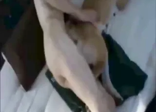 Submissive Dog Gets Fucked Sideways by Human