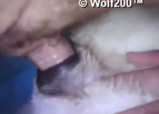 Hot Zoo Porn Dog Gets Deeply Gaped in HD