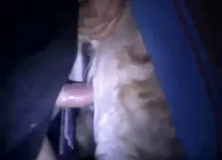 Totally uncensored mare sex with deep gape and final money shot