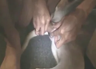 Bitch-Ass Dog Enjoys Wild Sex in Zoo XXX Clip