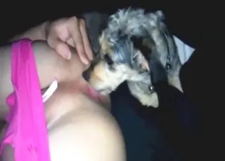 Pretty Girl in Pink Licked by Beast: Hot Zoo Sex Clip HD