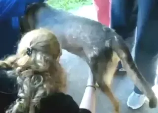 Skilled Lady Extracts Dog Cumshot In HD animal sex & Zoo Porn Tube HD Clips