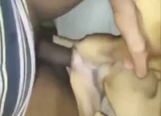 Fast Zoo Sex Cumshot in Seconds - animal sex Porn HD Clip