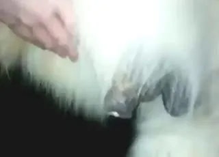Hot Pony Gets Successful With Dude in HD Zoo Sex Clip
