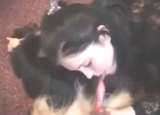 Beautiful Polish Woman Sucks Dog Dick - Zoo Sex HD Clip
