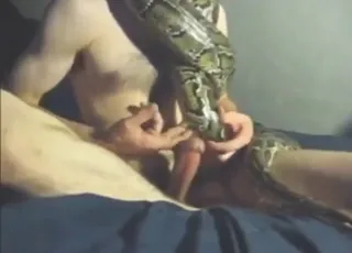 Naughty Guy Fucks Snake Mouth Deep in HD Zoo Sex animal sex Clips