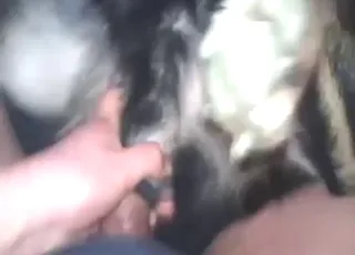 Intense Sheath Fuck in Zoo Sex Clip HD animal sex Animal Porn Tube